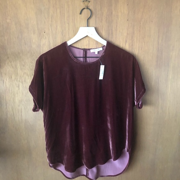 Madewell Velvet Tulip-Hem Top - Picture 5 of 8